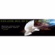 Higherlife Gospel Radio logo