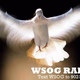 Logo de WSOG Catholic Radio - WSOG