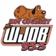 Logo de WJDB 95.5 FM - WJDB-FM
