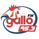 Gallo FM 95.3 - XHPEDJ logo
