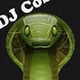 DJ Cobricio HiT Radio logo