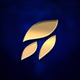 Logo de ESNE Radio - KRQZ