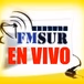 FM Sur Stereo 93.3 logo