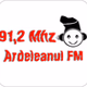 Ardeleanul FM logo