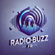 Logo de Radio-buzz