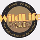 Logo de Wild Life Radio - Club Stream