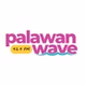 Palawan Wave FM - DZRT-FM logo