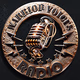 Logo de Warrior Voices Radio