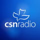 Logo de CSN Radio - KIMW