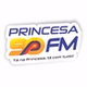 Princesa 90 FM logo