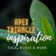 Apex Triangle Inspiration logo