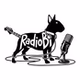 Radio Bull Terrier logo