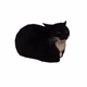 Logo de Maxwell Cat Radio