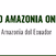 Radio Amazonia Online logo