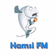 Logo de Hamsi FM