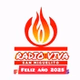 Radio Viva logo