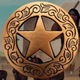 Logo de Lone Star Ambient