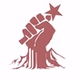 Lyfe Show Radio FM logo
