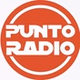 Punto Radio Cascina logo