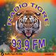 Radio Tigre 93.9 logo