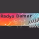 Radyo Damar logo