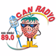 Logo de Can Radyo Ereğli