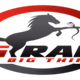 Logo de Big Radio