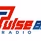 Pulse 880 Radio logo