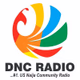 Logo de DNC Radio