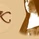 Radio Konsolata logo