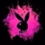 Paradise_Music logo