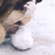 Logo de schneeweissfm