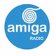 Amiga Radio Nerja 101.8 logo