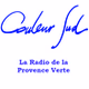 Radio Couleur Sud logo