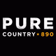 Logo de Pure Country 890 - CJDC