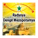 Denge Mezopotamya logo