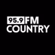 Country 95.9 Fm logo
