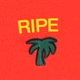 Ripe Radio logo