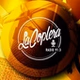 La Coplera logo