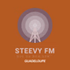 Steevy FM logo