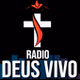 Radio Deus Vivo logo