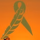 Conciencia FM logo