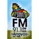 FM De Los Arroyos 91.1 logo