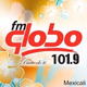 Logo de FM Globo 101.9 - XHPF