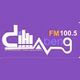 Dihlabeng FM 100.5 logo