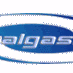 Auralgasms Radio logo