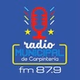 Radio Municipal de Carpintería logo