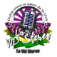 Logo de La Vid Stereo