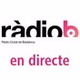 Ciutat de Badalona logo