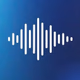 Logo de Blue Torch Radio